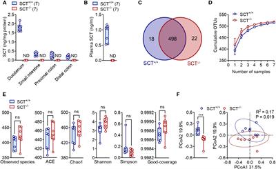 Effects of secretin gene knockout on the diversity, composition, and function of gut microbiota in adult male mice